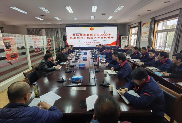 公司召開會議傳達(dá)集團(tuán)公司黨建工作、紀(jì)檢工作會議精神